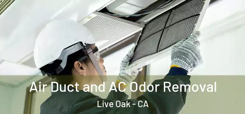  Air Duct and AC Odor Removal Live Oak - CA