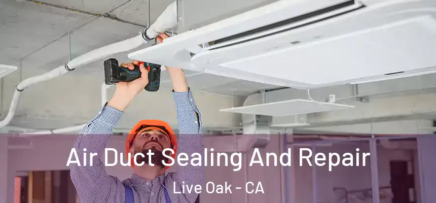  Air Duct Sealing And Repair Live Oak - CA