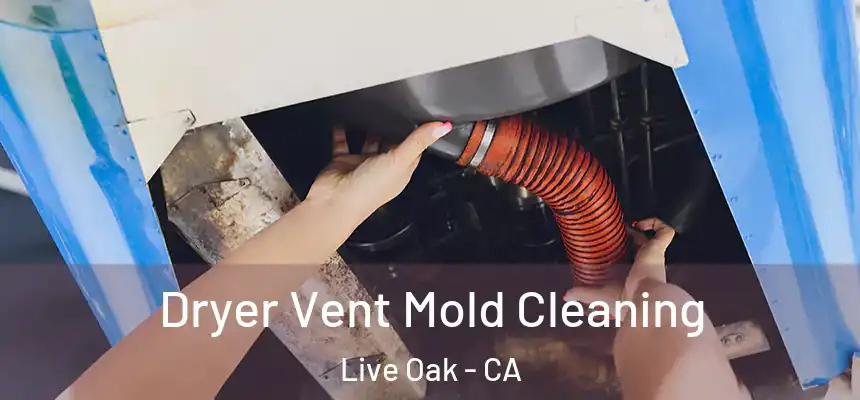  Dryer Vent Mold Cleaning Live Oak - CA