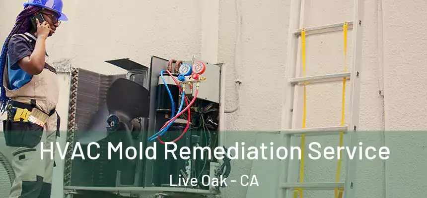  HVAC Mold Remediation Service Live Oak - CA