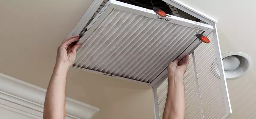 Preventive Cockroach-Proofing for Ducts in Live Oak