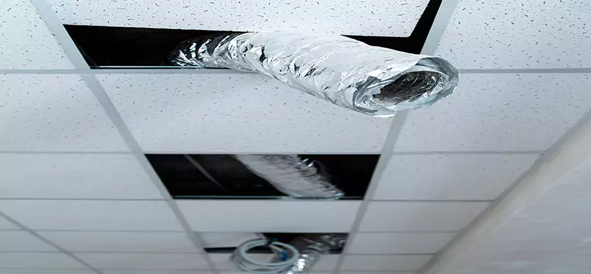 Affordable HVAC Sanitizing After Pest Removal in Live Oak