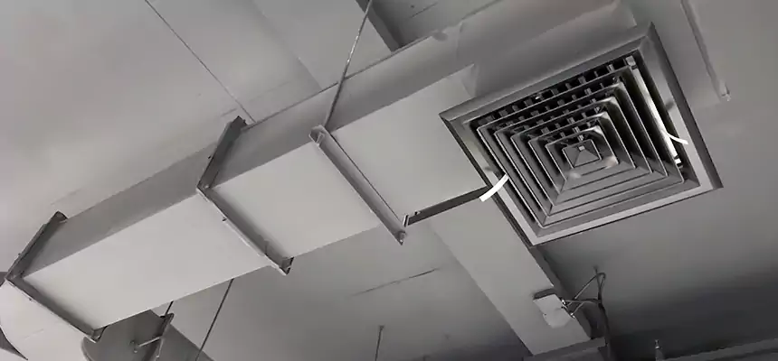 Restorative Allergy Relief Vent Cleaning – Coil, Blower & Housing Detail in Live Oak