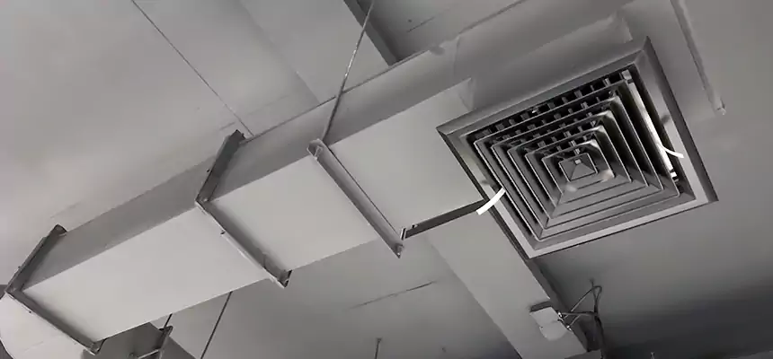 Our Pest Removal From Ducts Services in Live Oak, CA