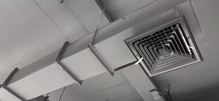 Our Rodent Droppings In Vents Services in Live Oak, CA