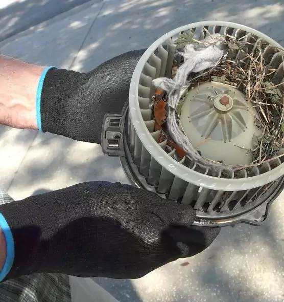 About Air Duct Mice Removal in Live Oak, CA