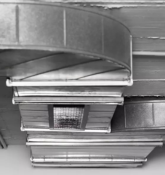 Professional Air Duct Pest Removal in Live Oak, CA