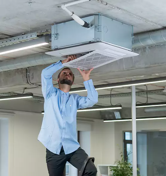Advanced Rodent Droppings In Vents in Live Oak, CA