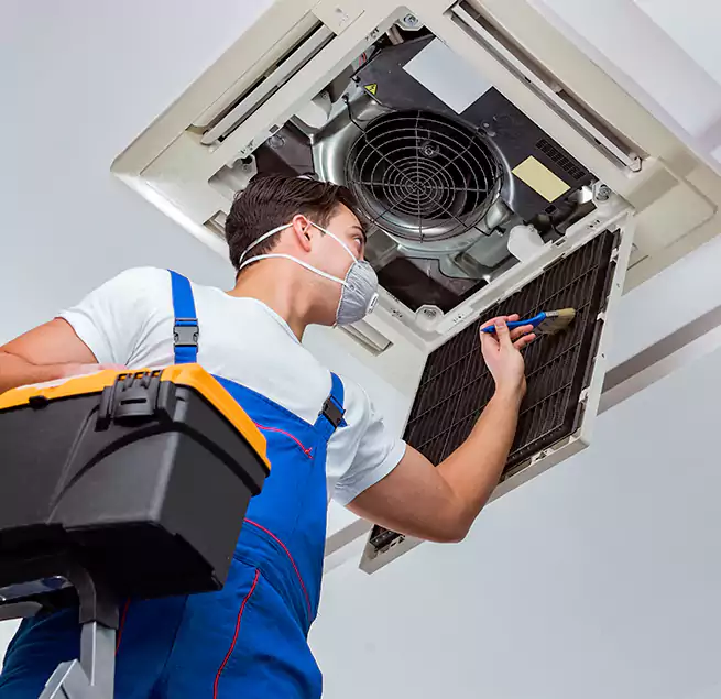 Why Homeowners & Businesses Trust Us in Live Oak, CA