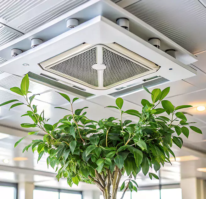 Why Homeowners & Businesses Trust Us in Live Oak, CA