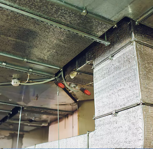 Why Homeowners & Businesses Trust Us Live Oak, CA?