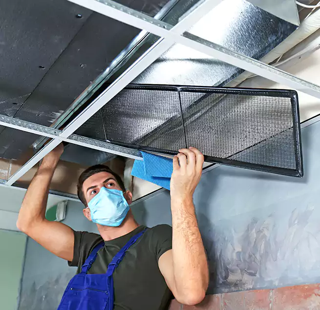 Why Homeowners Businesses Trust Us in Live Oak, CA