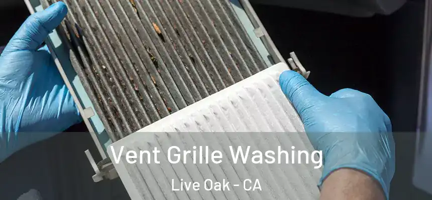 Vent Grille Washing Live Oak - CA